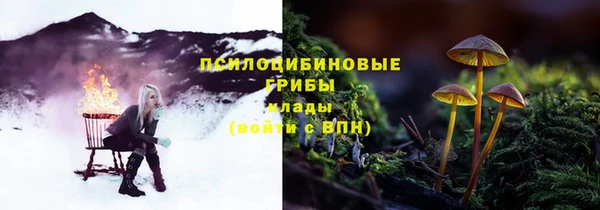 прущие крисы Баксан