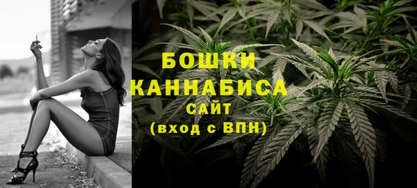 PSILOCYBIN Балахна