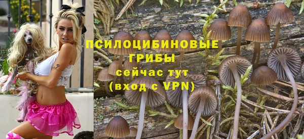 MESCALINE Бородино