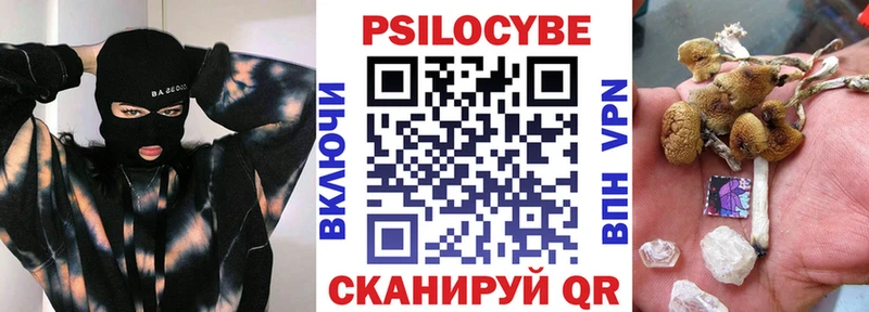 Псилоцибиновые грибы Magic Shrooms  где продают   Холм 