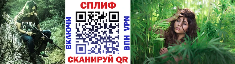 Канабис Bruce Banner  Холм 